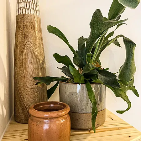 Hacienda Flats - Wunderschoene Am Seewald