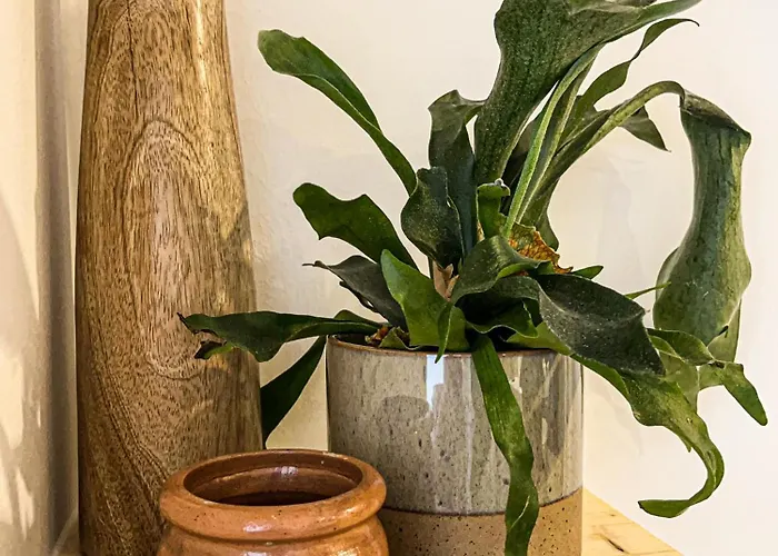 Hacienda Flats - Wunderschoene Am Seewald